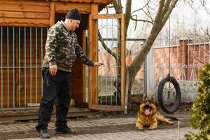 en man Träning hans tysk herde hund utomhus foto