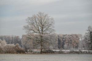 vinter- tid i Tyskland foto