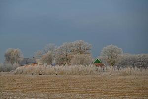 vinter- tid i Tyskland foto