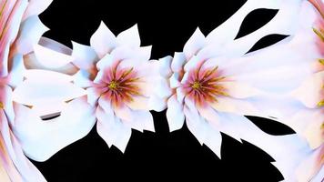 näckros botanisk blomma digital tolkning foto