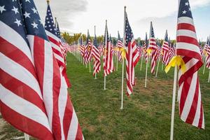 fält av veteraner dag amerikan flaggor vinka i de bris. foto