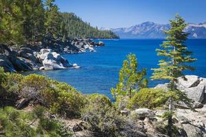 skön strandlinje av sjö tahoe foto