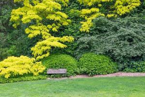 skön grön trädgård miljö med trä bänk foto