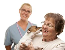 Lycklig senior kvinna med hund och veterinär foto