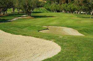 naturskön golf kurs fairway och grön. foto