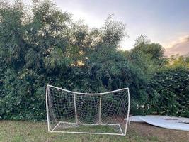 små grindar för spelar minifotboll på en grön gräsmatta mot de bakgrund av handflatan träd på semester i en paradis värma östra tropisk Land tillflykt foto