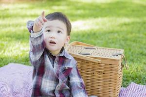 ung blandad lopp pojke Sammanträde i parkera nära picknick korg foto