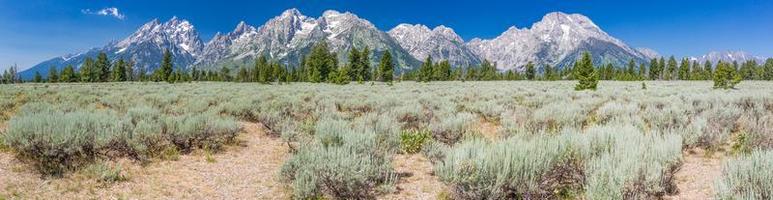 pano av de stor teton nationell parkera berg räckvidd i Wyoming, usa. foto