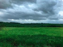 grön fält och kullar mulen himmel foto