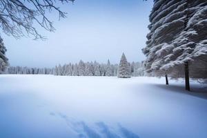 skön vinter- bakgrund med snö. ny år, jul och Övrig högtider, webb affisch, hälsning kort. foto