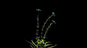 abstrakt blommor botanisk digital illustration foto