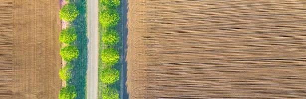 antenn topp se av en Land väg genom en jordbruks fält landskap och en grön träd linje Nästa till väg. idyllisk antenn landskap, grön träd med lantbruk fält. underbar natur mönster foto