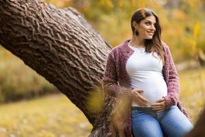 ung gravid kvinna i höstparken foto