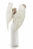 skön ung modell med stor ängel vingar Sammanträde i de studio. vit bakgrund foto
