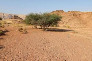 de negev är en öken- i de mitten öster, belägen i de söder av israel. foto