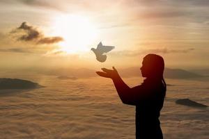 silhuett kvinna bön- och fri fågel duva flygande i de himmel njuter natur dimmig dimma berg soluppgång eller solnedgång på natur bakgrund, hoppas religion begrepp. foto