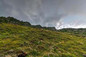 kuperad landskap nära de by av gergeti i georgien, under montera kazbegi. foto