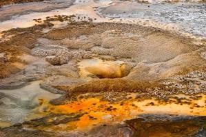 gejser i yellowstone nationell parkera foto