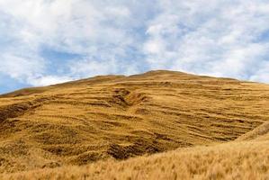 se längs de cusco-puno väg, peru foto