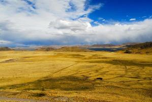 helig dal av de inkaor. kusco till puno, peru. foto