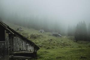 gammal trä- stugor på grön ängar av dal kallad planini pri jezeru med ett detaljerad del av en stuga i förgrund under de dimmig regnig dag i slovenska bergen - julian alps foto