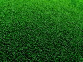 grön gräs textur bakgrund realistisk stil foto