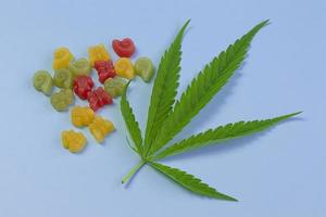 klibbig ogräs tillverkad av cannabis medicinsk marijuana med färsk grön blad av cannabis blå bakgrund. cbd och thc medicinsk produkt. foto