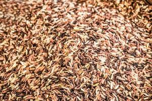 thai brun ris bakgrund och textur. foto