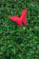 fjäril origami med natur foto