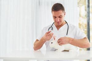 användningar stetoskop. ung veterinär är inomhus med liten kanin. uppfattning av sjukvård foto