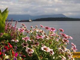 i de norska fjordar foto