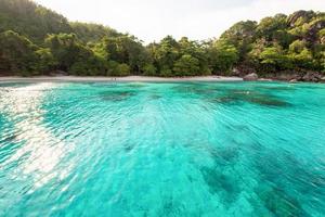 smekmånad vik och strand i similan island, thailand foto