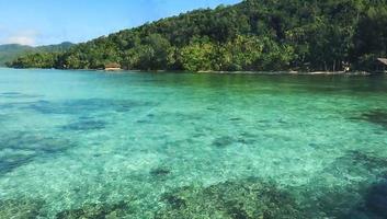 tropisk paradis strand med vit sand och handflatan träd panorama- turism foto