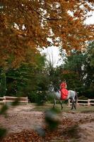 en kvinna i en röd klänning sitter på en häst, ett höst promenad i de skog. foto