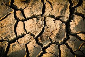 jord spricka bakgrund jord textur och säsong torr lera torr landa foto