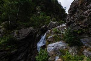 alpina hög berg sjö, barr- trän är reflekterad i de vatten, antrona dal campliccioli sjö, Italien piedmont foto