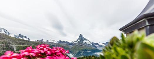 idyllisk landskap i de alps med färsk grön ängar och blomning blommor och snötäckt berg blast i de bakgrund. foto