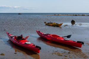 Kajakpaddling i de sommar foto