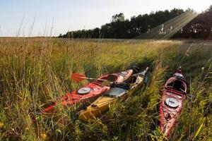 Kajakpaddling i de sommar foto