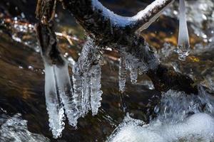 istappar i en små skog flod foto