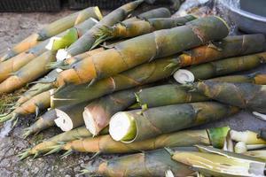 hög med bambuskott från naturskog till salu på marknaden - bambuskott asiatiska thailand foto
