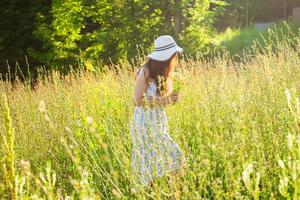 Lycklig ung kvinna med lång hår i hatt och klänning gående genom de sommar skog på en solig dag. sommar glädje begrepp foto