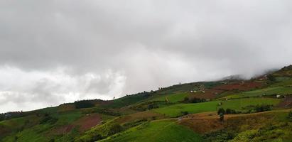 skön räckvidd av grön berg vit moln och dimma i de morgon- med kopia Plats. landskap se av kulle på Phetchabun, thailand. naturlig tapet och känd plats för resa och avkopplande tid. foto