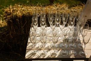 tömma champagne glasögon i en rad på picknick foto