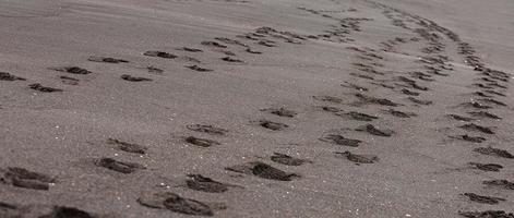 selektiv fokus. fot grafik i de svart sand. svart sand på de strand foto