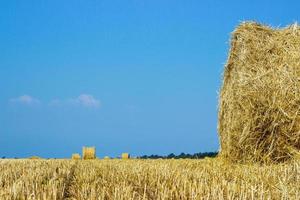 lantlig landskap av Toscana, Italien, Europa, rullar av höstackar på de fält. sommar bruka landskap med höstack på de bakgrund av skön solnedgång, lantbruk begrepp, skörda begrepp foto