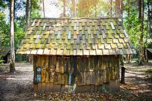 gammal historisk by trä- hus stuga stuga i de grön skog med träd omge foto