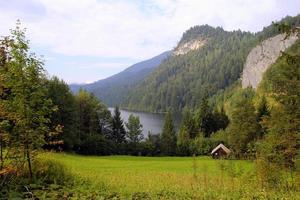 resa till sankt-wolfgang, Österrike. de se på de på en skog och en äng med en sjö och de bergen på de bakgrund. foto