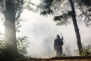 brandmän släcker en brand i skog genom vattenöversvämning foto