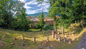 se på de gammal jewish kyrkogård och stad vägg av de medeltida stad av miltenberg i Tyskland under dagtid foto